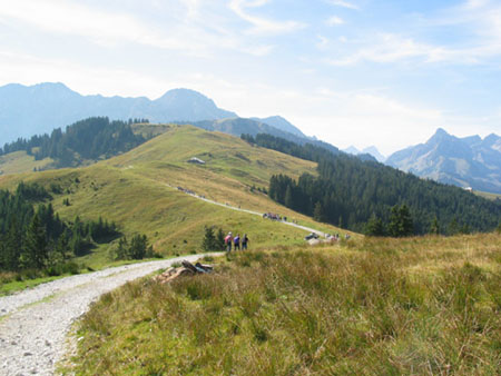 Herbstwanderung 2003 (24)