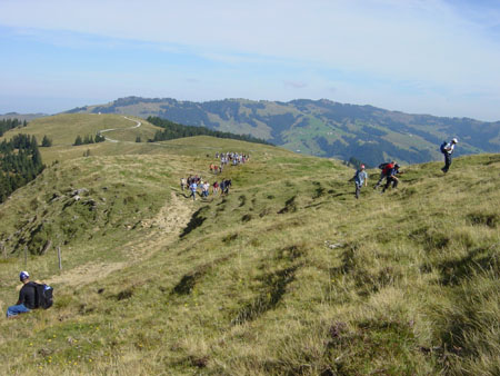 Herbstwanderung 2003 (4)